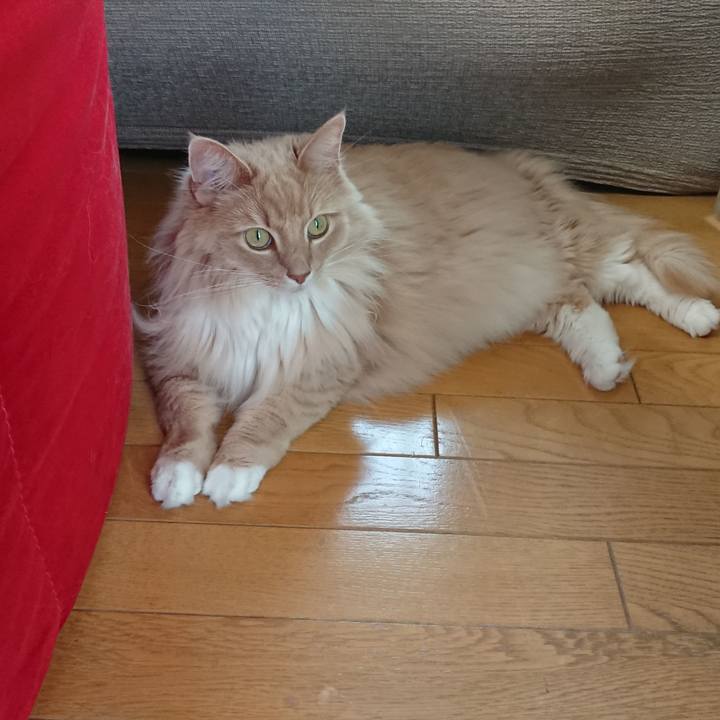 414836a9 dea5 47b6 b178 bfd765d46d42 1559526675311