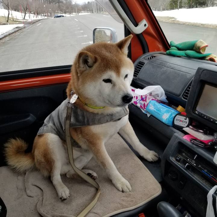 4148375b f53d 44f4 87f5 b6b8b21d3952 1678949181091