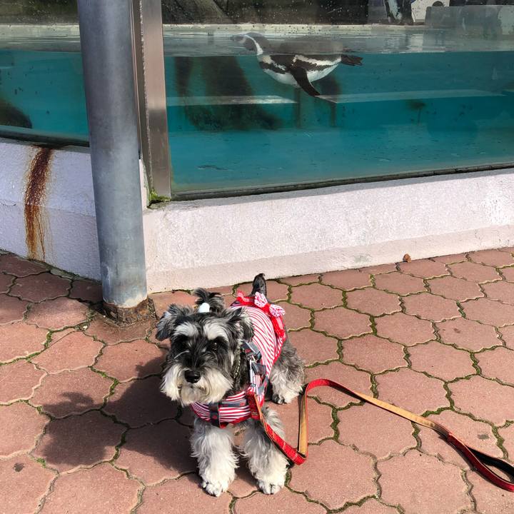 41485008 f153 43c3 914c deed40f4895b 1665839580047