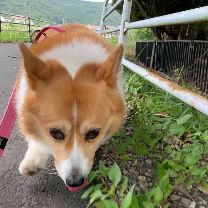 41485b47 1a60 4a2e b6b0 fd503e4197d3 1628725102287