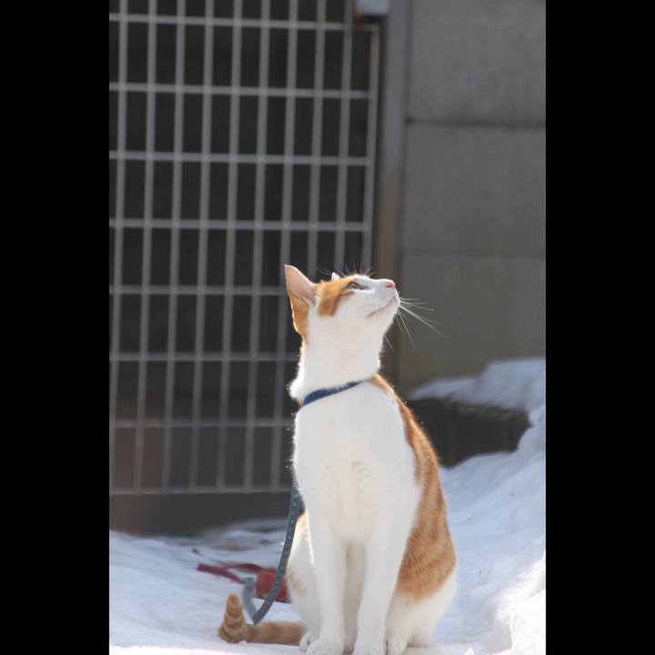 41486841 6077 4c24 b445 a3b4429ca017 1517206841827