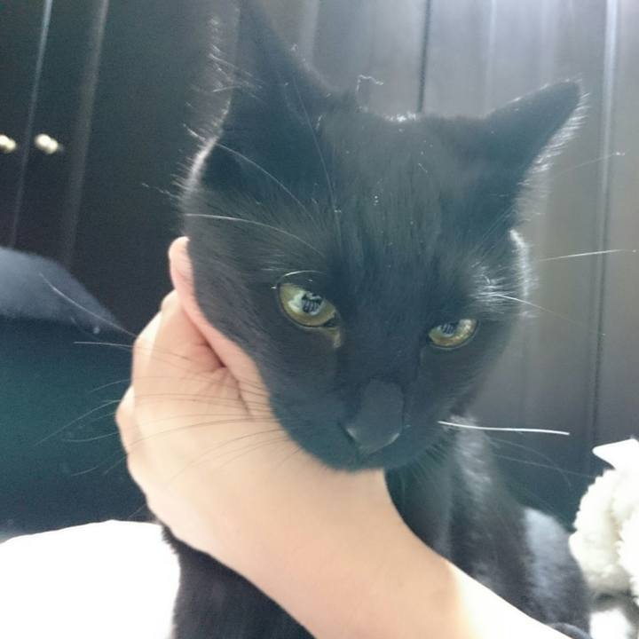 414882ee be45 4600 9523 ea4611e3973a 1520522027384