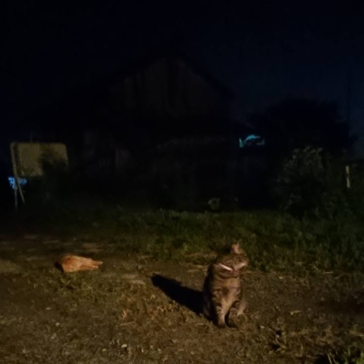 4148a266 d6e4 42d3 8495 92ccf89a1d74 1657022446588