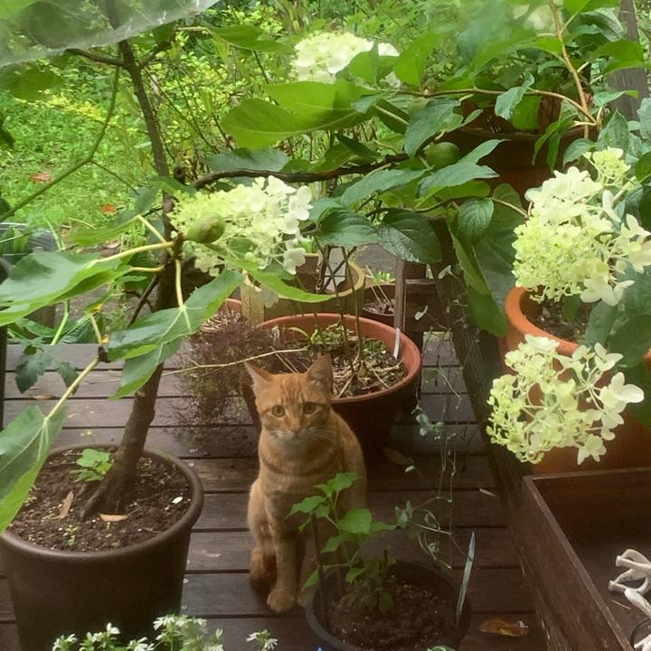 4148b4f8 6f3e 490c abd6 7c5ec90c0f58 1688949523013