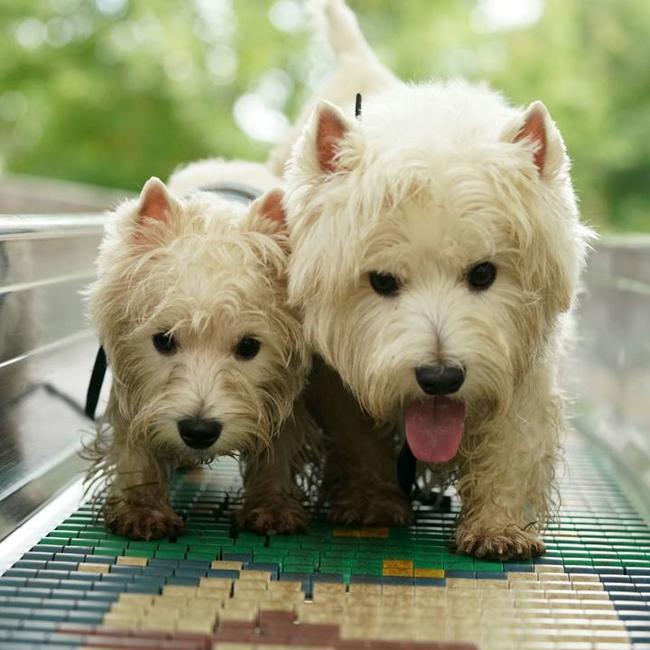 4148b52e 6dc9 4615 99d5 154a2a278762 1512213806281