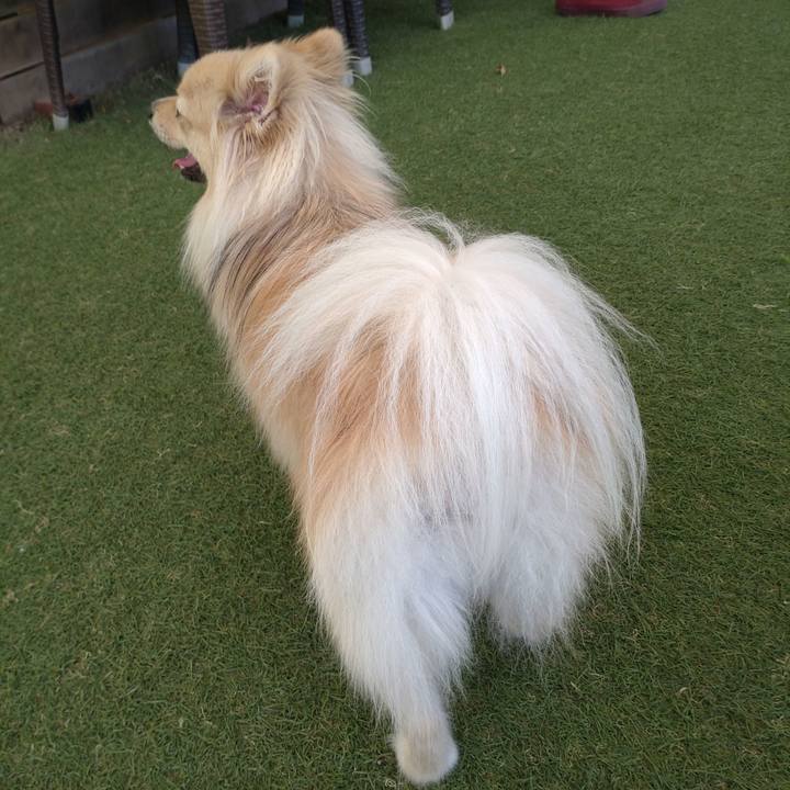 4148fb67 bb03 466b 8b13 2b78fa670713 1751885320012