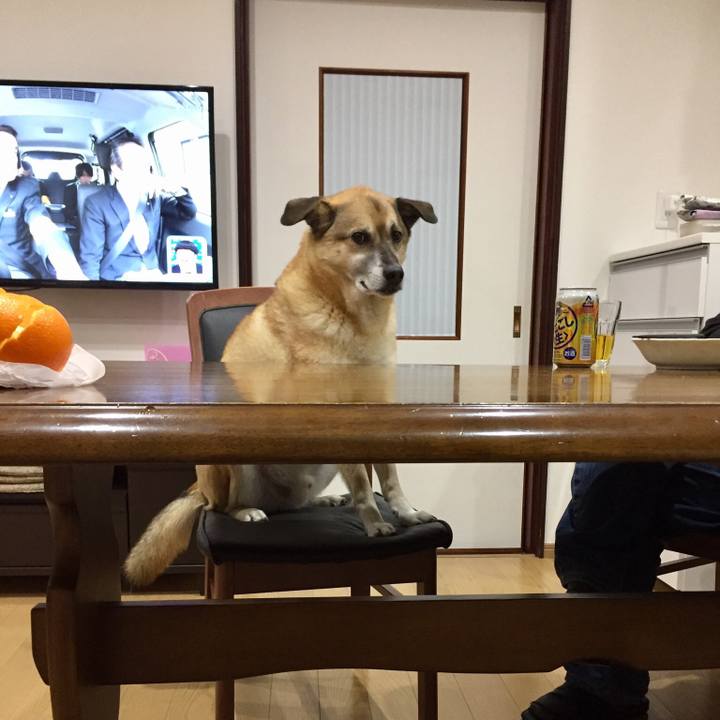 41495f95 3821 46c6 b0e2 745f98f5941b 1548066999760