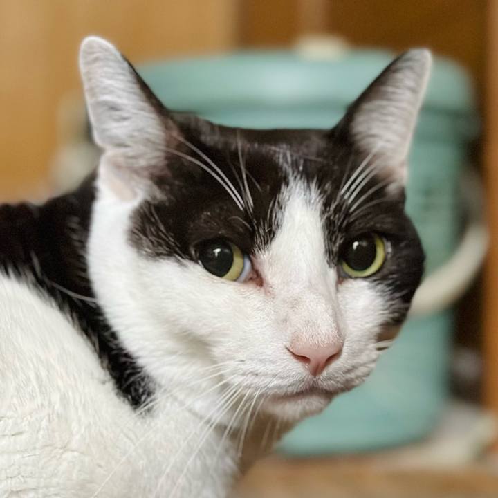 41496b75 021e 47ce aab8 81a6c4f77260 1666404960038