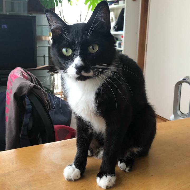 41496d65 095d 4597 b1e6 754f601b611d 1662435596023