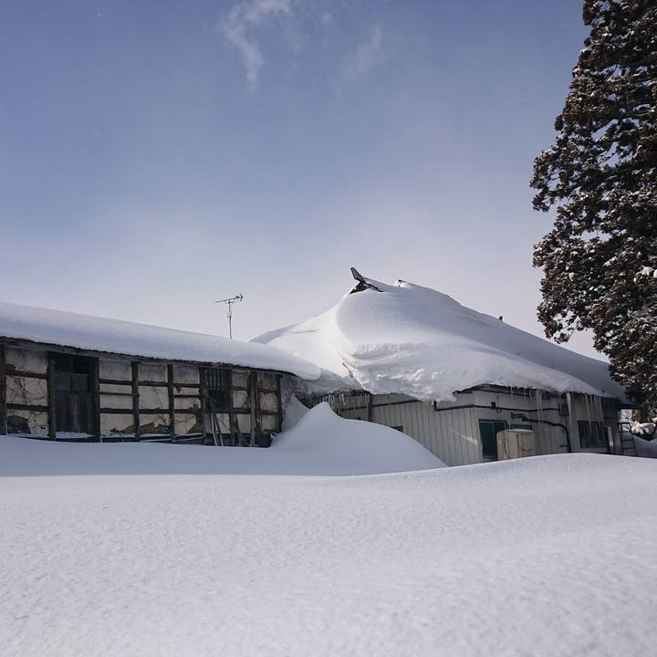 41496db4 df45 4ad4 8ad4 3ab5dbed9893 1644210702736