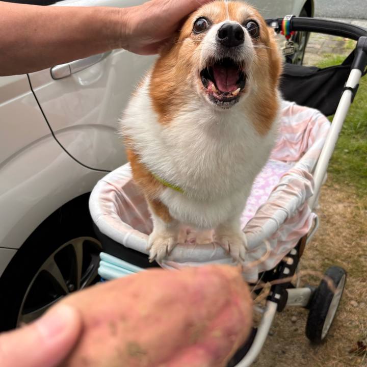 4149979a 998b 46d2 aa51 d4ac586e207b 1759977170255