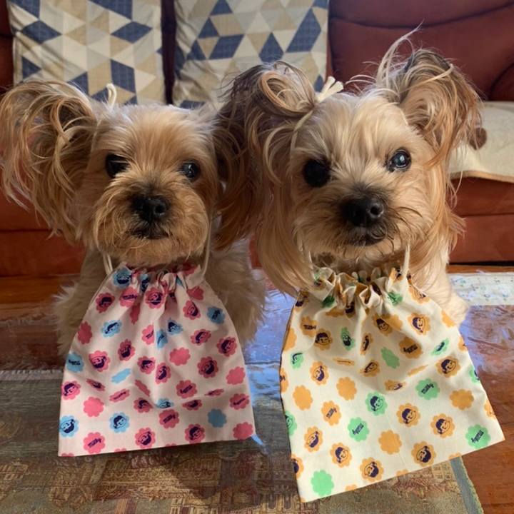 4149acb6 5f7c 4645 afb8 e7e6a90738a8 1646904130868