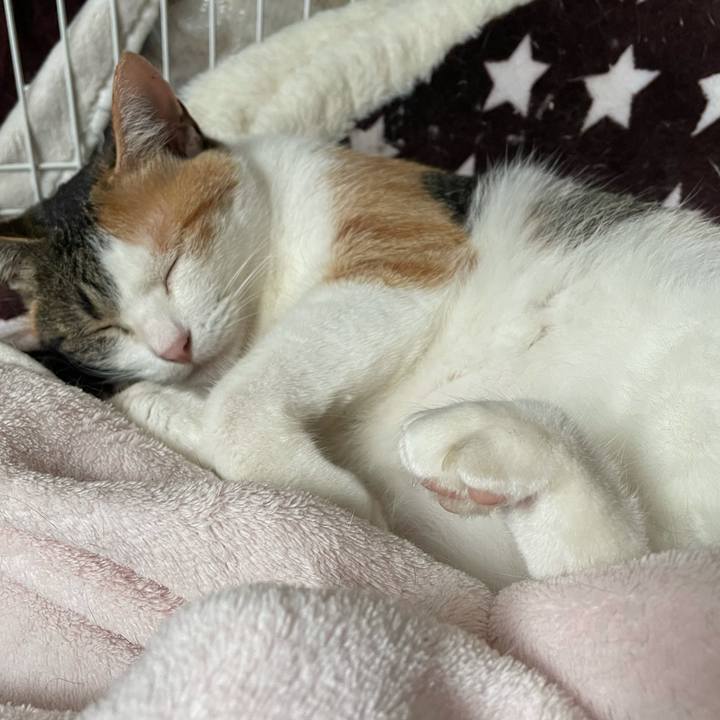 4149bead aa61 4049 8037 bce114553180 1624319824182