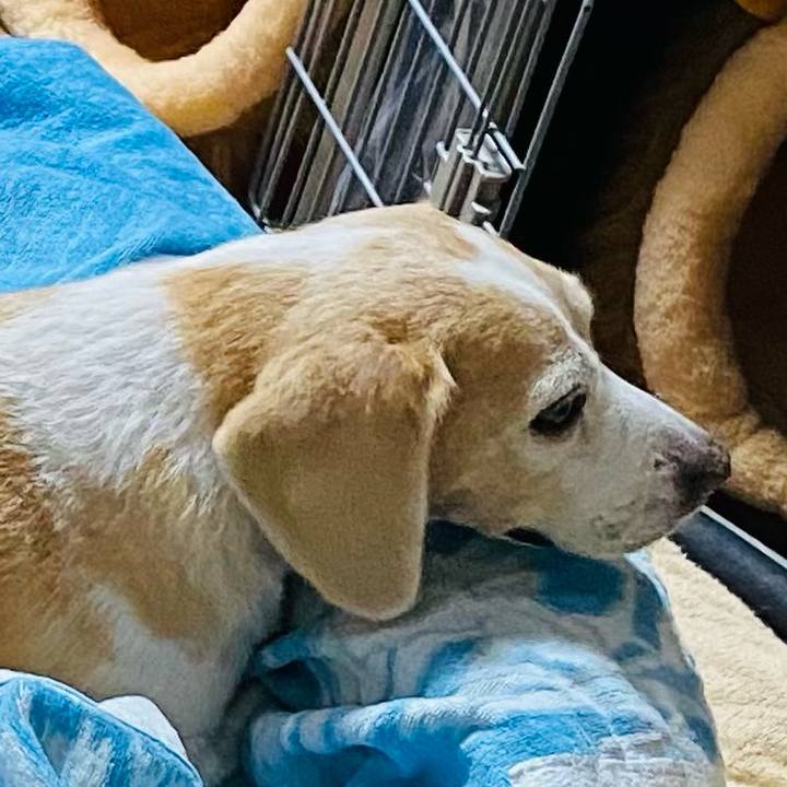 414a66cc b5b4 409b ae3d aead871ab82d 1603081347029