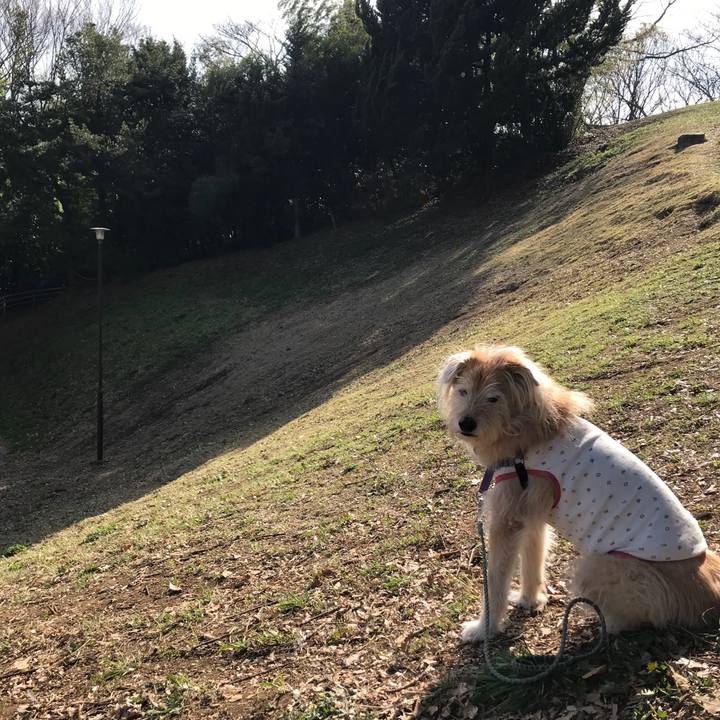 414a710f 4068 44cd b5a3 5ebecccea7a2 1584513913070