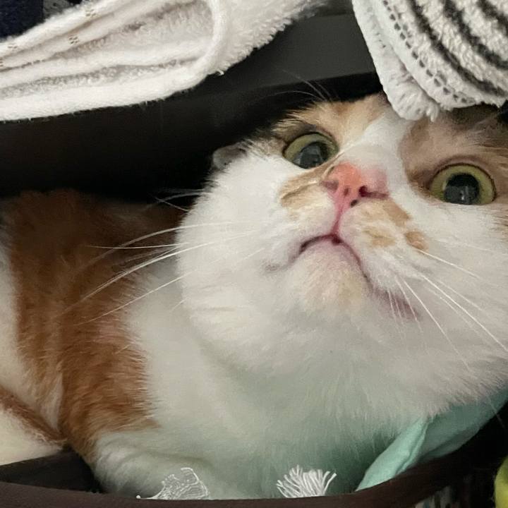 414a7d40 ff52 4c75 a193 d39bd9745ea4 1622271247877