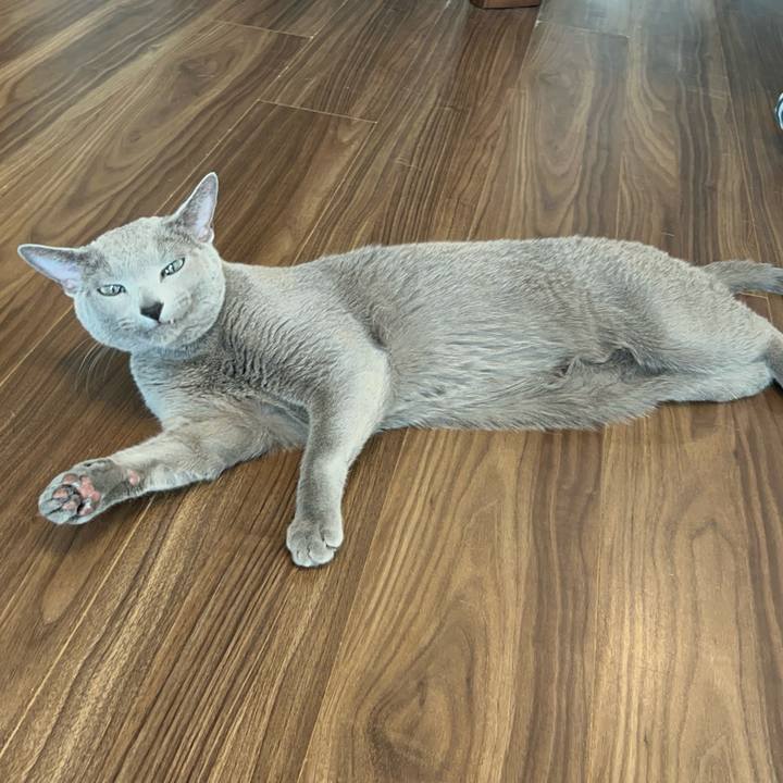 414a888a cf0a 4385 a9d5 0a31aa90a6a3 1739581959399