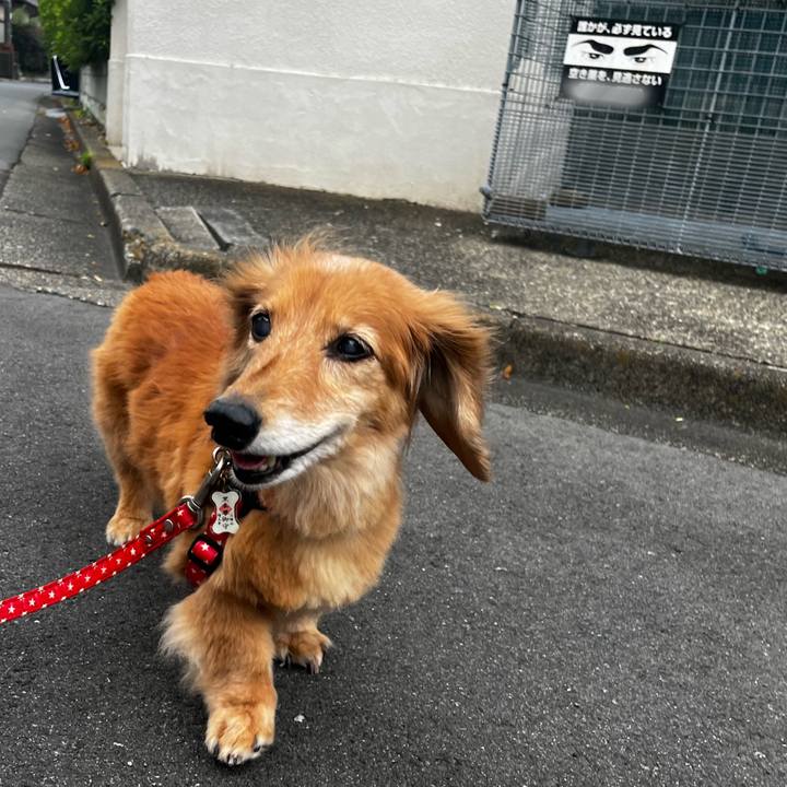 414a92bf da56 48f6 b55d 214e54a931d4 1657026244166