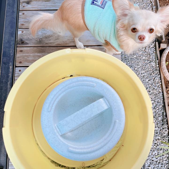 414aafbd 4c36 4035 9fca 00b0c19c68f9 1668663446467