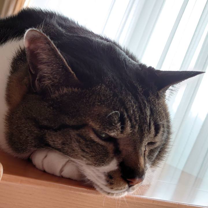 414ab5a9 0e15 4ca4 ae72 f09fcbf01ab3 1590791074561