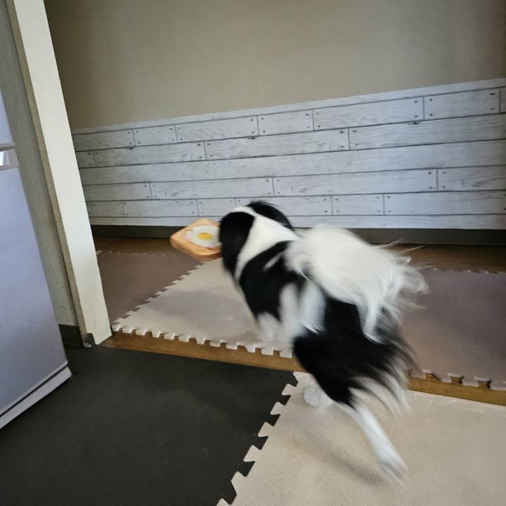 414af70f 6c27 4b4e 9a7f c06fc5486d6e 1696394099914