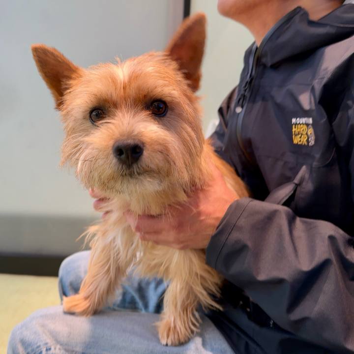 414b0eba 0571 4438 a9b3 e34aac10631f 1748599886232