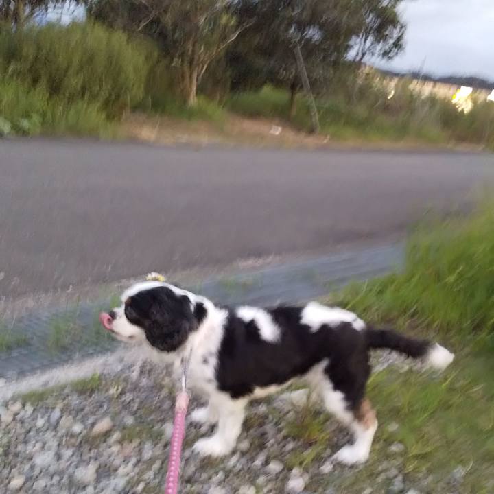 414b214e 8717 46bc b947 4787975c5d3e 1600173365697