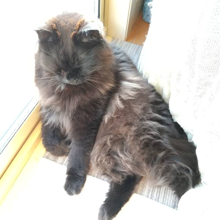 414b4a17 6992 4f14 8339 e75e6e5b8375 1583909928572