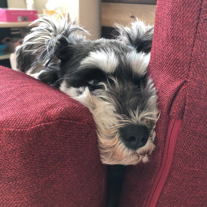 414b5663 152e 4faa a94b 8e264e65dffe 1554600030710