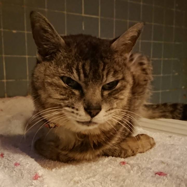 414b8ea3 8ad6 4124 9b01 94bdaec5e2a5 1595240502741