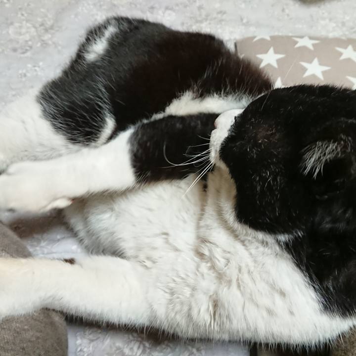 414ba0bc bc78 4c7f 90bb c40b01ed8a39 1647254505068