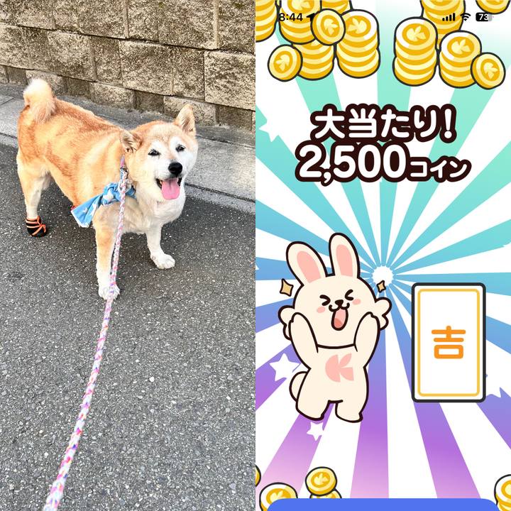 414bdbd5 a32f 449e 8a90 64c0dd7fc38b 1752882491720