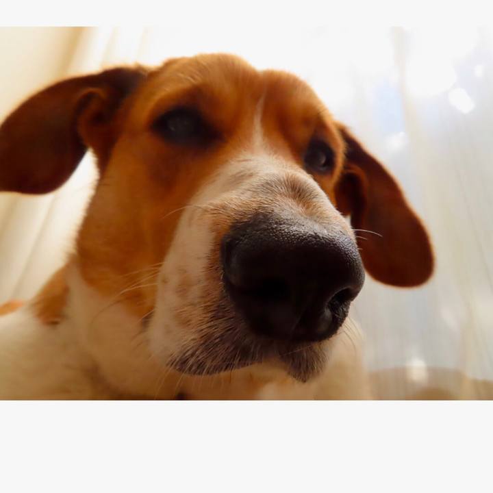 414c0867 5019 4a3e 85f4 4e84bec90066 1642475871162