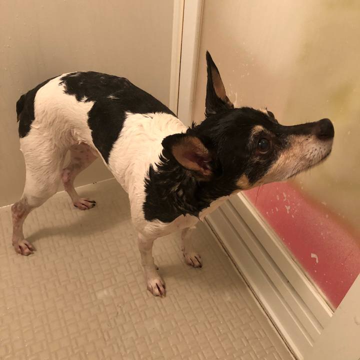 414c2764 7231 4490 936b 4fcb5206c28e 1525052977502