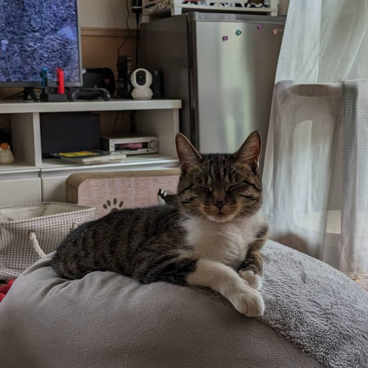 414c3c75 d103 4a37 a908 b8a58a3ccbb1 1714437861014