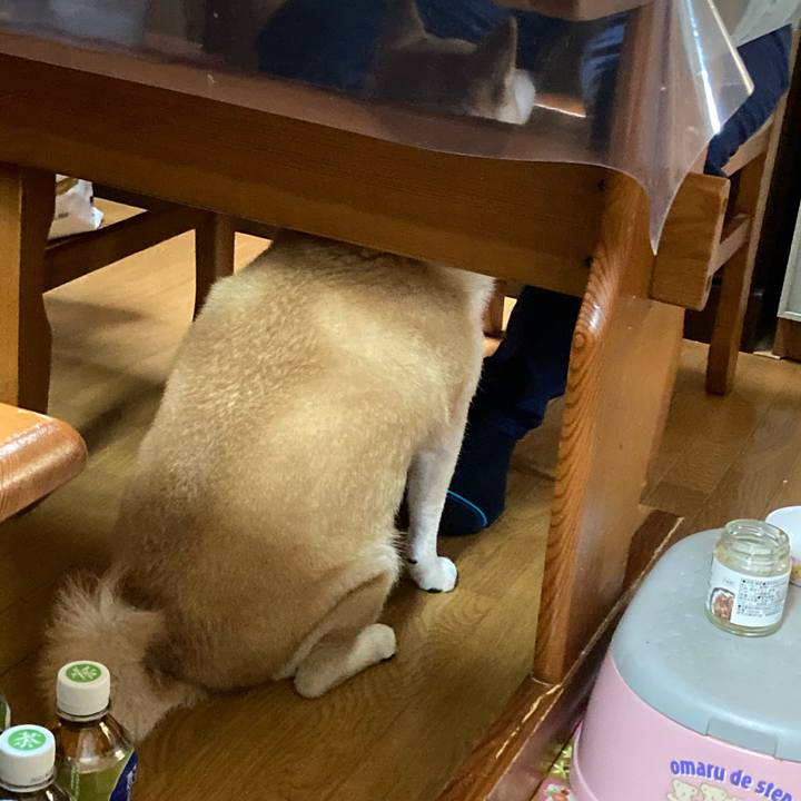 414cc60f fea5 4bf0 bfd5 f23d9c682de8 1613196380400