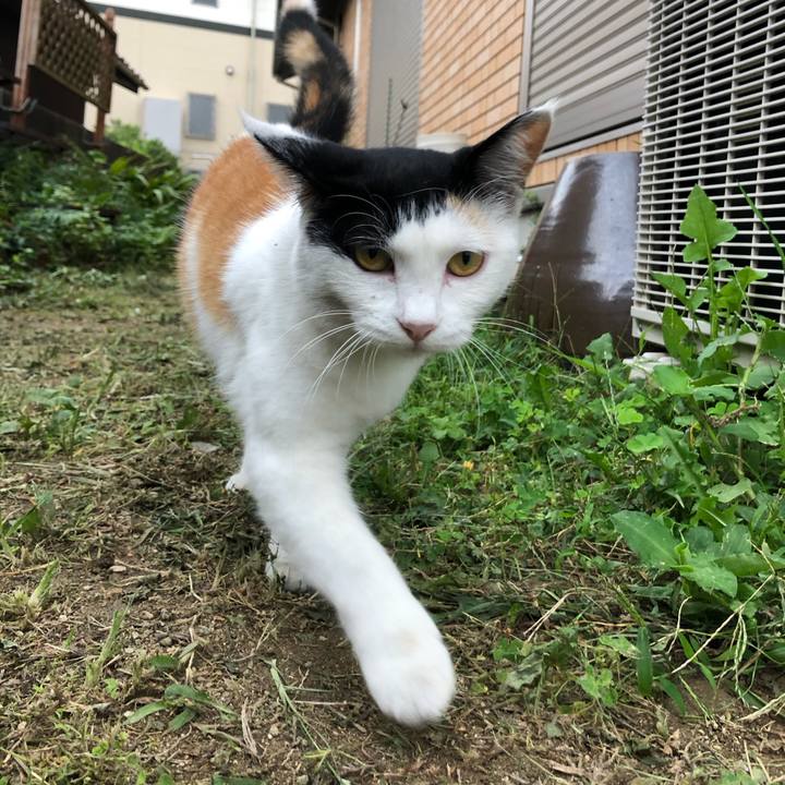 414cd364 7c8b 430d bda7 b9a19b4cd36e 1600208138126