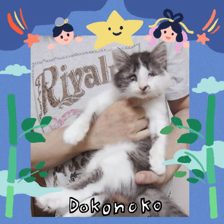 414cd663 fc8f 474b 8d1b 2291099ac931 1720923846364