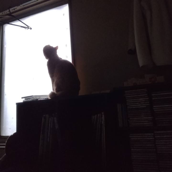 414ce017 ba48 4268 9155 177a9b127d1a 1667427588548