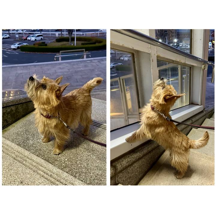 414cf600 18e9 460a a6b4 7b9c1c827659 1735887672325