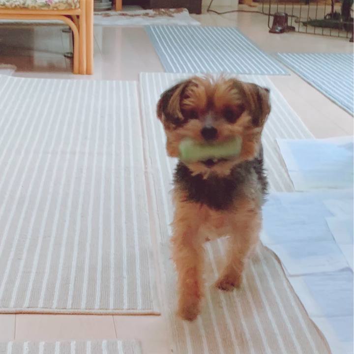 414cf935 12c7 4925 963a e5c592f7c891 1607729951745