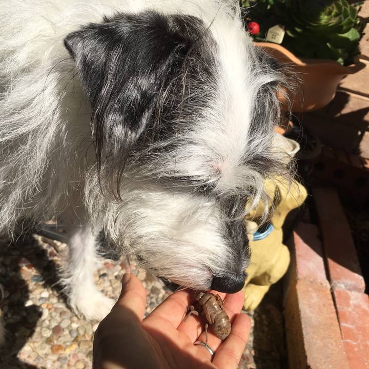 414d0fd5 9437 472a a4da f2de76a65899 1526595715911