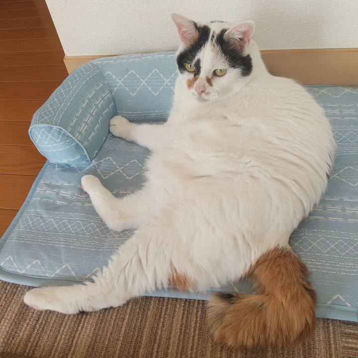 414d2098 beb0 4007 933c f59cd3eb8f78 1696766173040