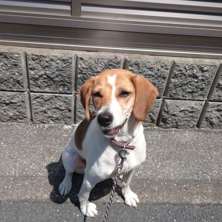 414d3aa2 91a3 4605 ae76 2552bc54d09e 1597047012195