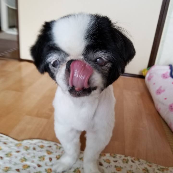 414d3e7c 29c9 4a46 b999 22cc83d79d04 1592707080985