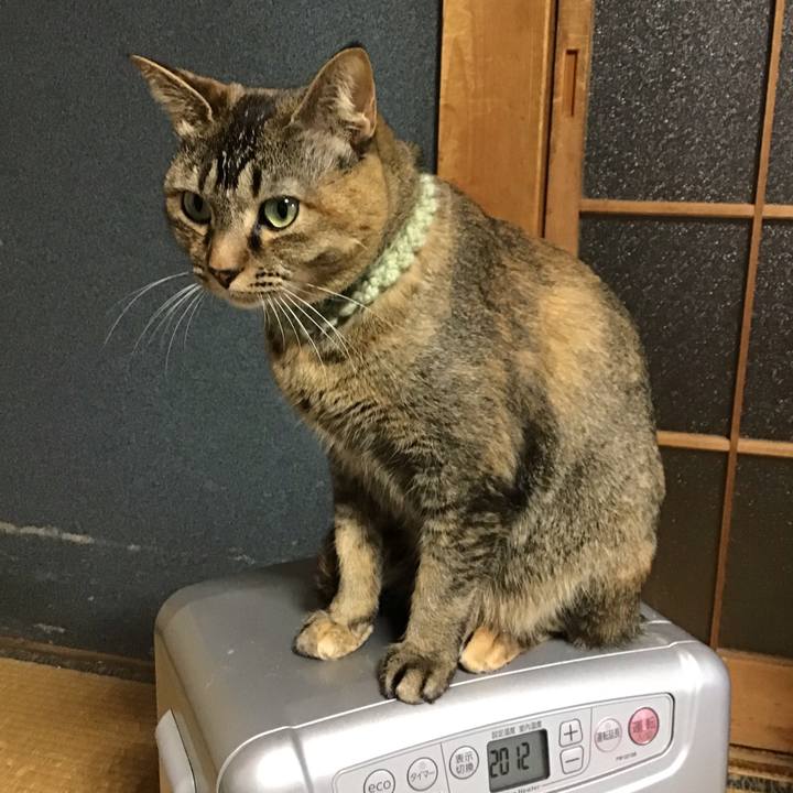 414d4a2c 105f 4dca aa89 3b2b1100b6eb 1645480058416