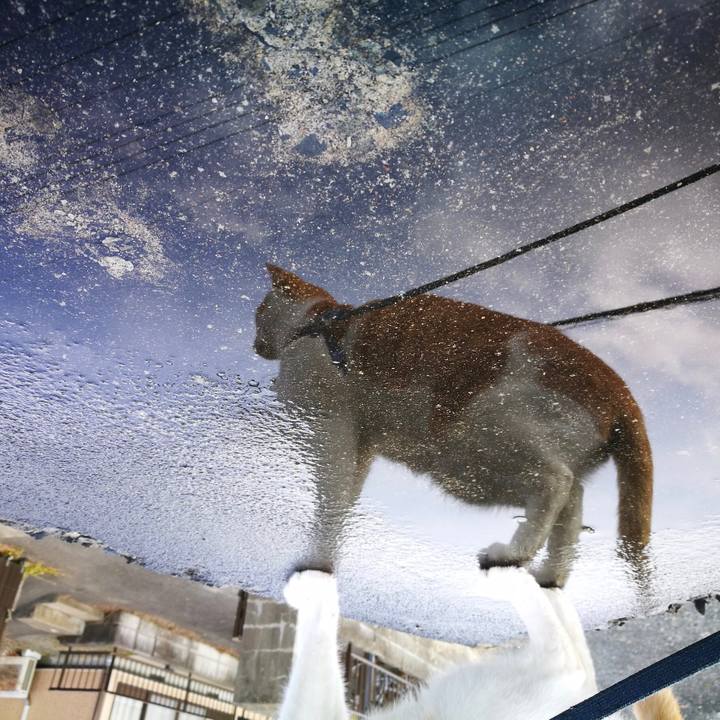 414d6ef3 6dff 4a59 be88 9ebfbc65752f 1517734161898