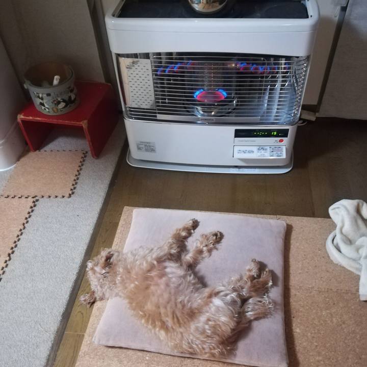 414d6f38 d14f 4e05 8304 73fe5daed195 1548017810298