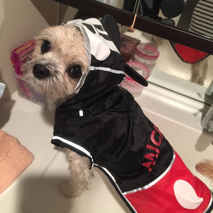 414dfdfe ec9c 4540 b675 78b66786bf9e 1508676332726