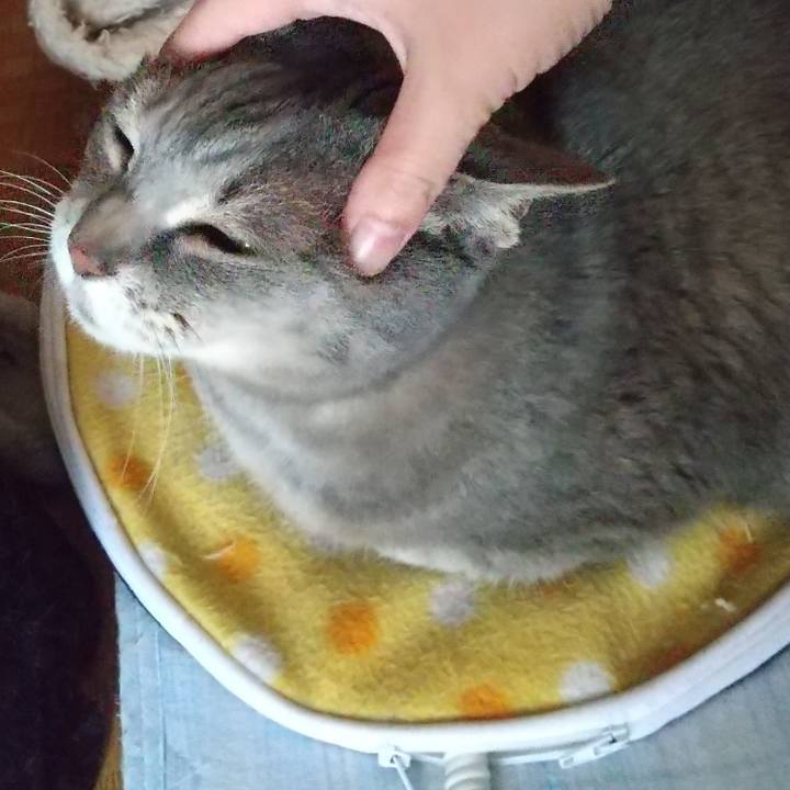 414e4aa2 058d 4261 b62d 8cf8eae16914 1654649499649